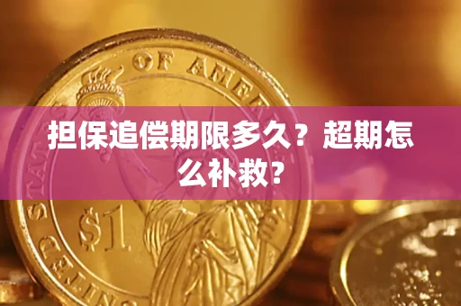 济南担保追偿期限多久？超期怎么补救？
